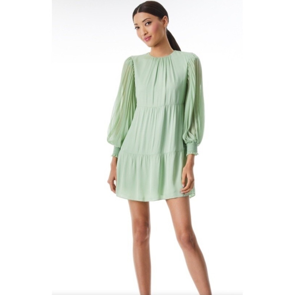 Alice + Olivia Antonette Dress Women XS Green Pleated Babydoll Ethereal Romantic